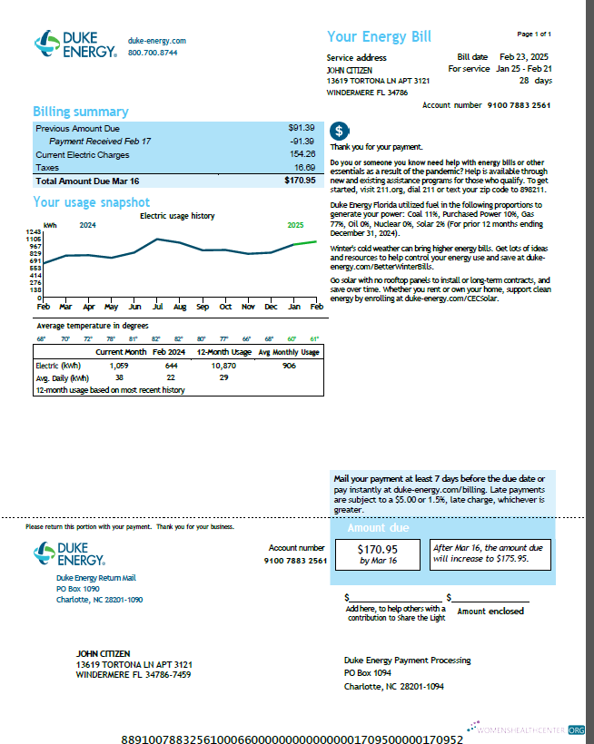 download download USA Duke Energy utility bill template in Word and PDF formats, version 5 PDF template PDF template